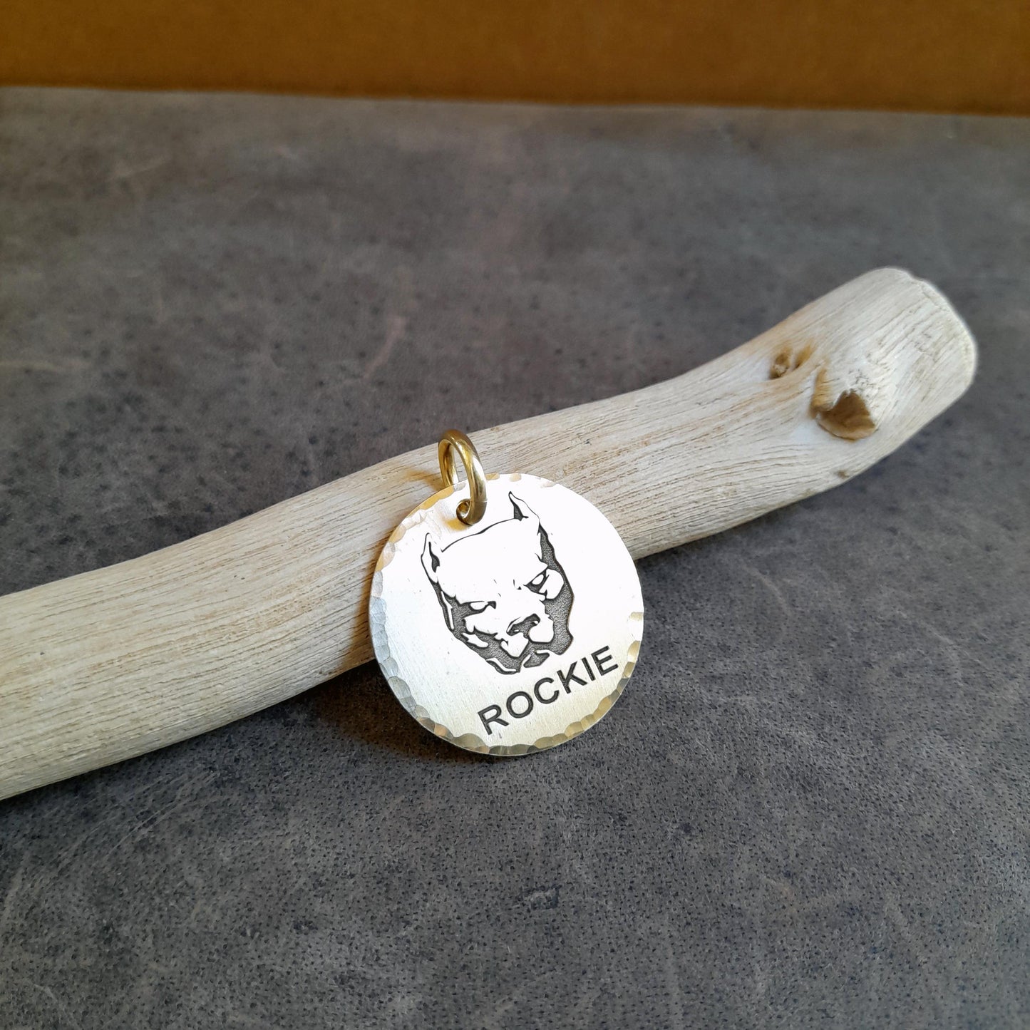 Médaille d'identification pour chien Pitbull