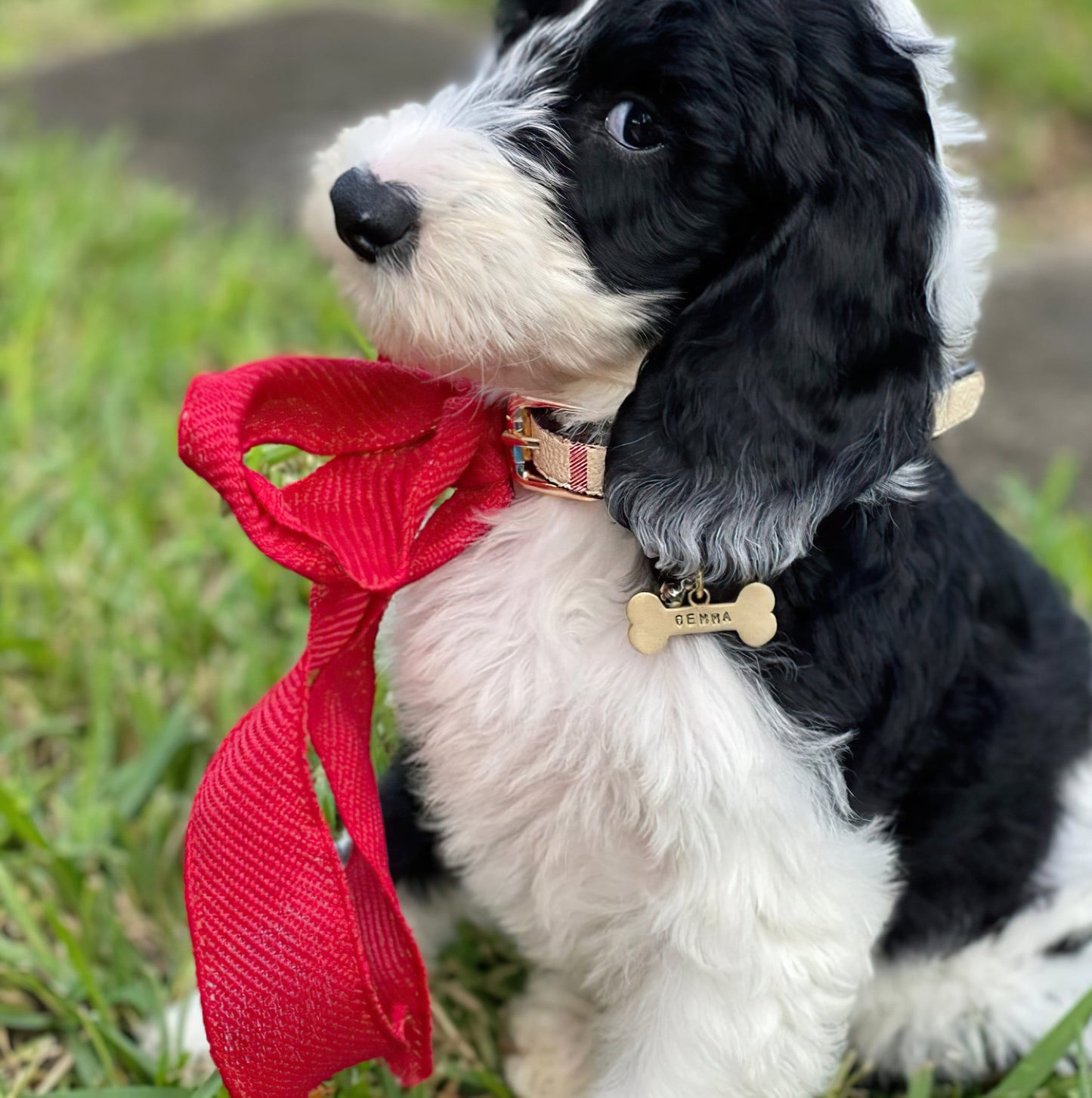 Custom  Personalized Solid Bone Dog ID Tag